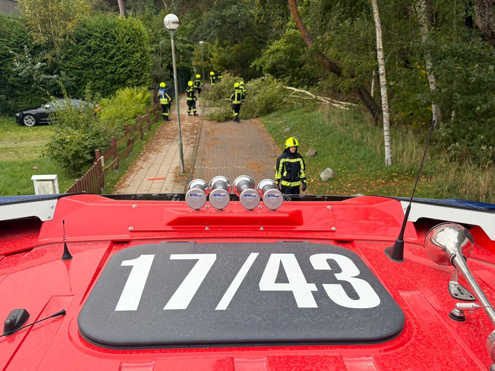 Baum umgestürzt – Waldstraße, Dierhagen Strand – Bild 2 von 5