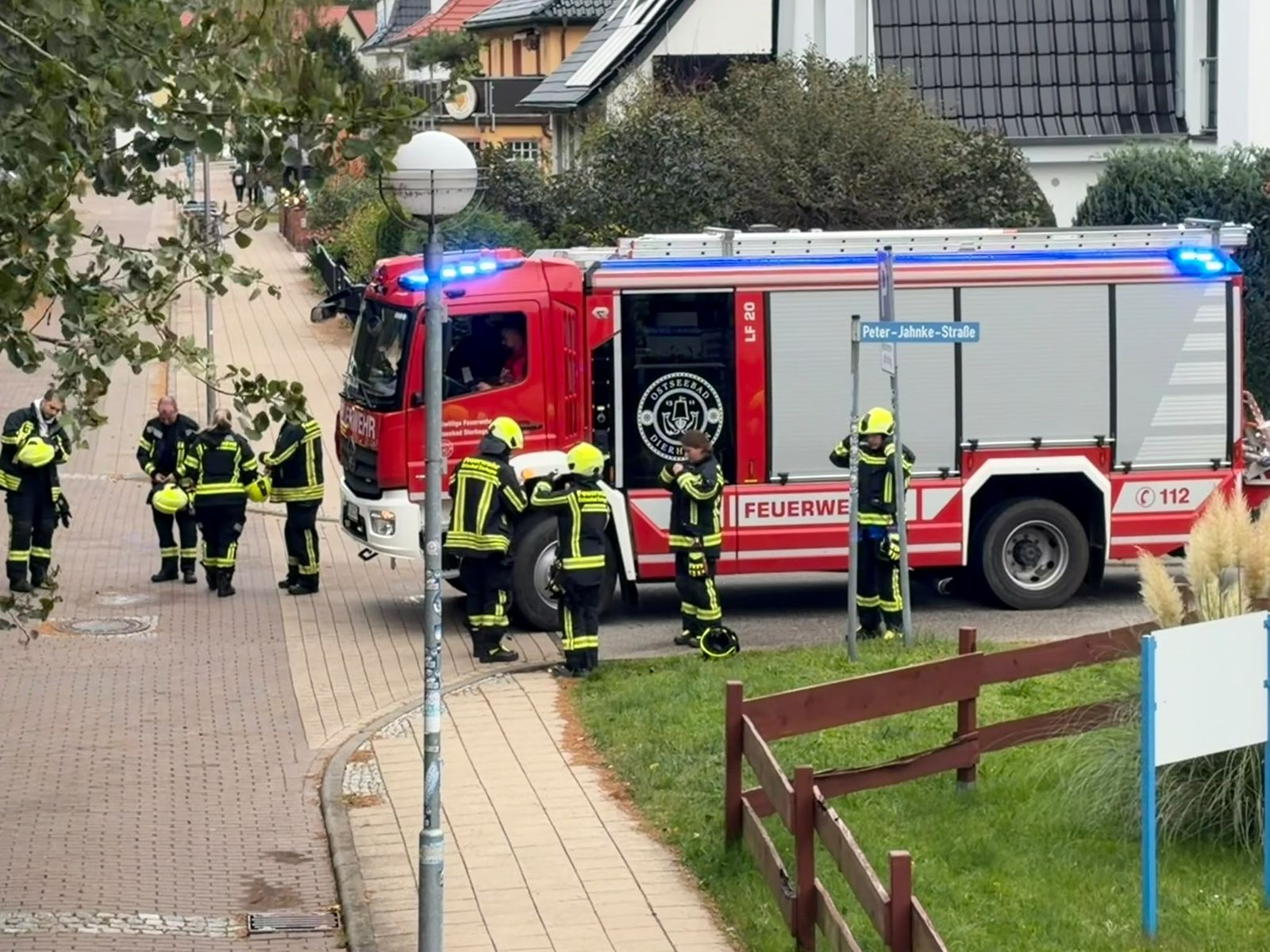 Baum umgestürzt – Waldstraße, Dierhagen Strand – Bild 5 von 5