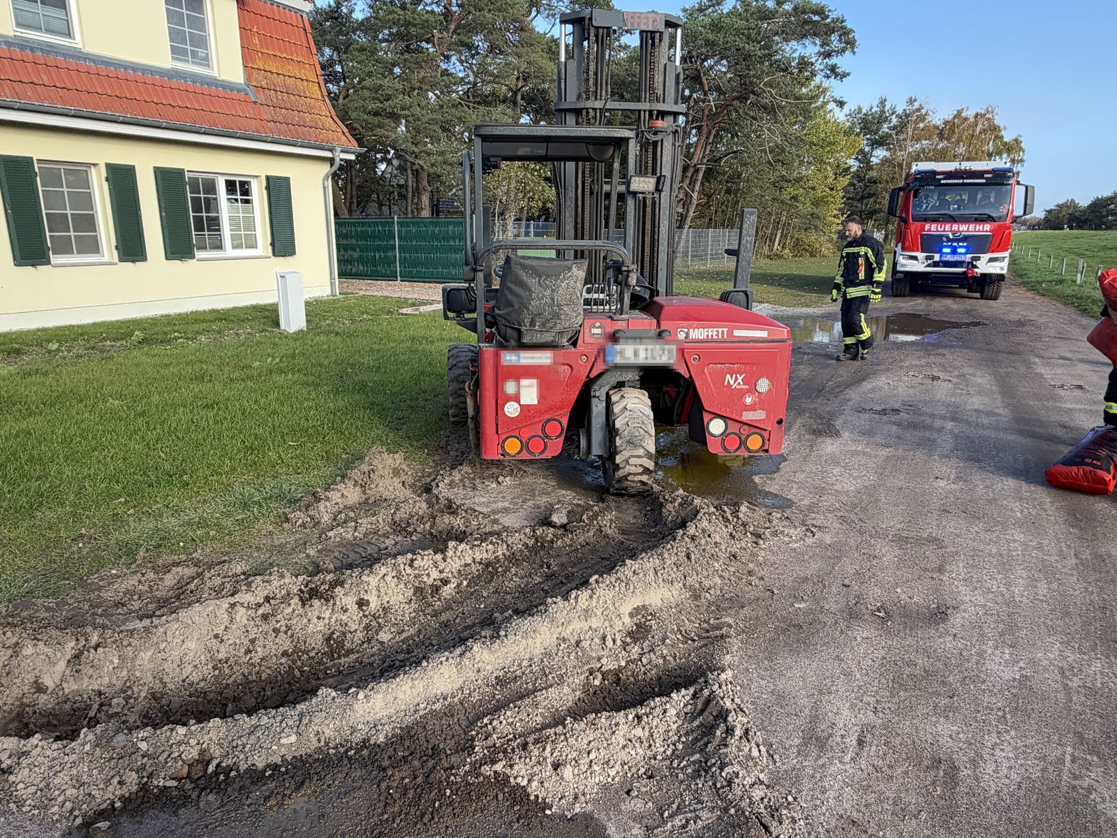 Ölspur – Waldweg, Dierhagen Ost – Bild 1 von 3