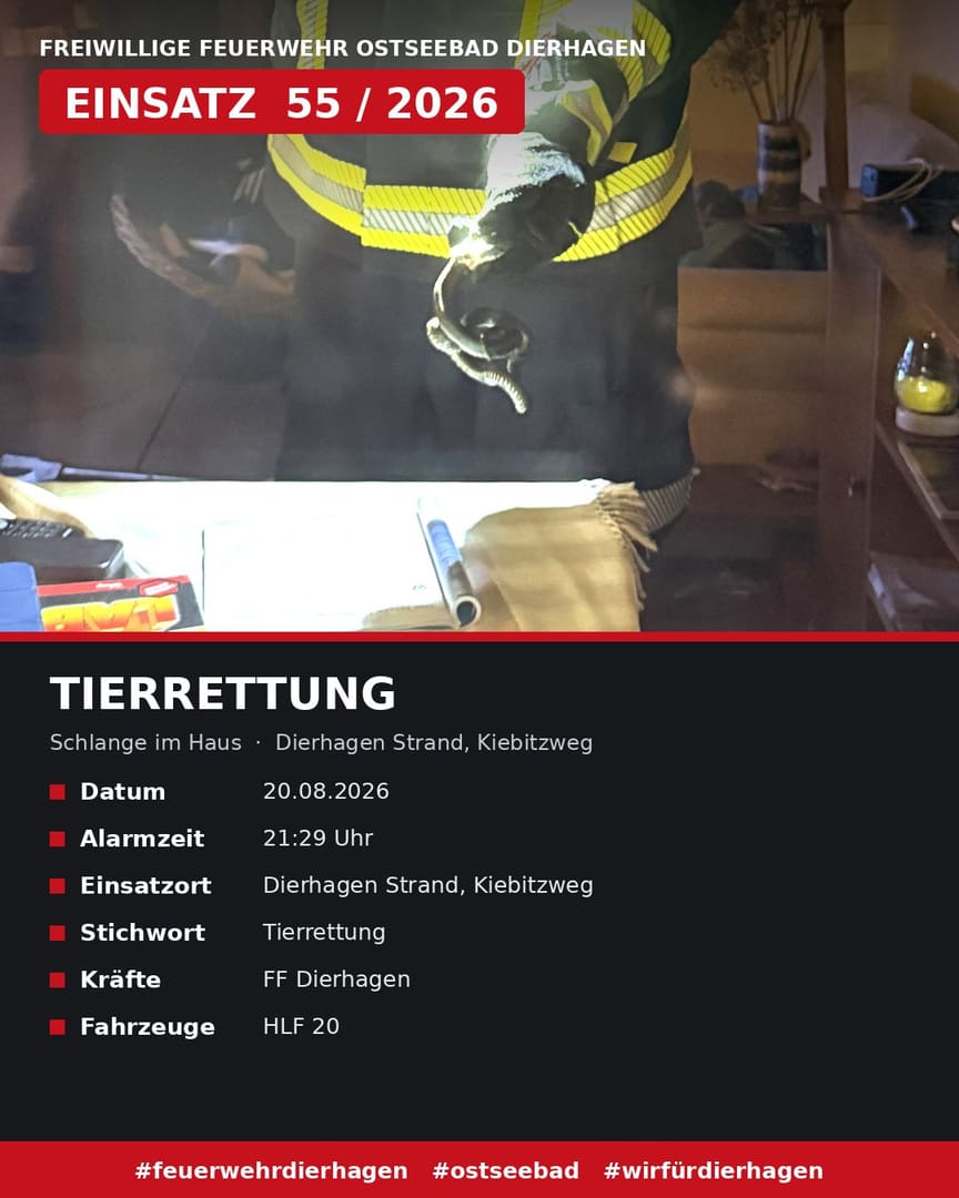 Tierrettung – Schlange im Haus