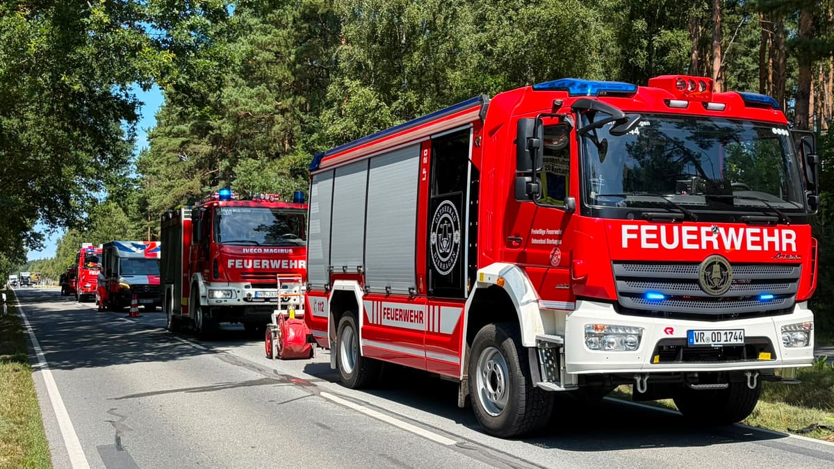 Löschgruppenfahrzeug (LF 20) der Freiwilligen Feuerwehr Ostseebad Dierhagen – Ansicht 3 von 3